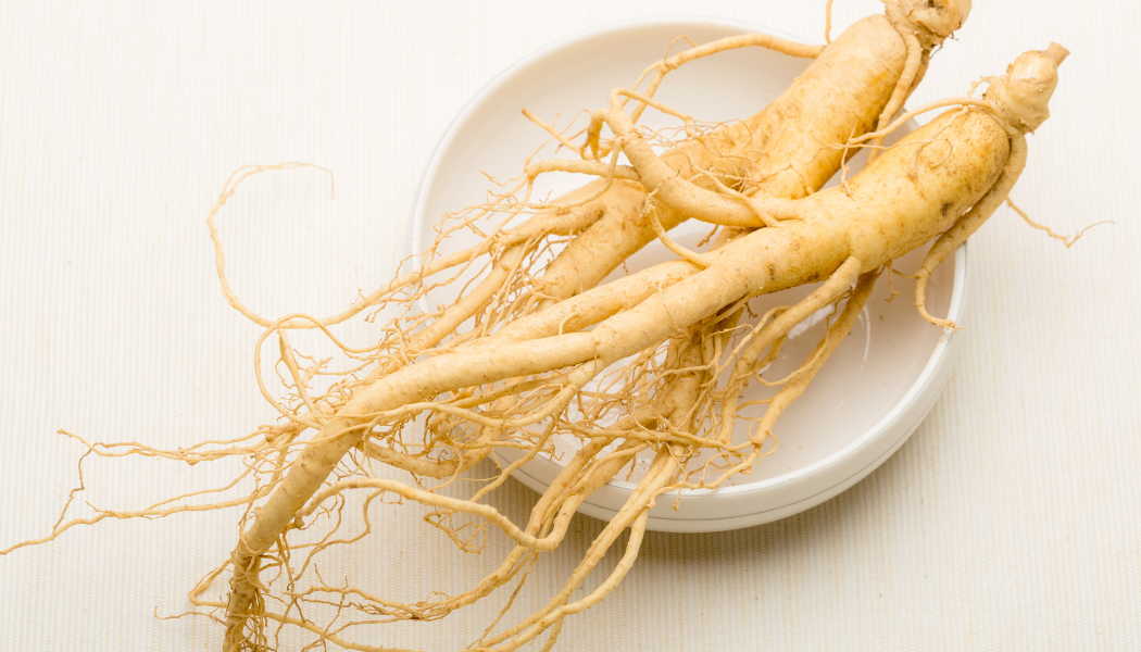 Ginseng en cure à la rentrée : Le coup de boost naturel pour une rentrée en forme !