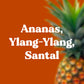 Encens naturels Sweet sand - Ananas, ylang-ylang, santal