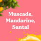 Encens naturel Bubble shell - Muscade, mandarine, santal
