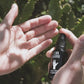Spray main énergisant - Hands cleaner citrus